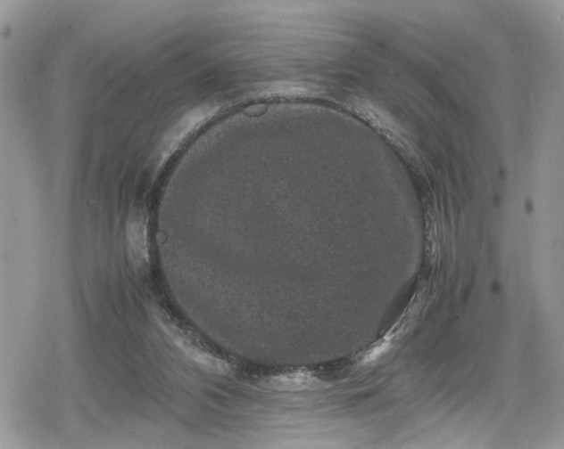 X0000078860112200611271421