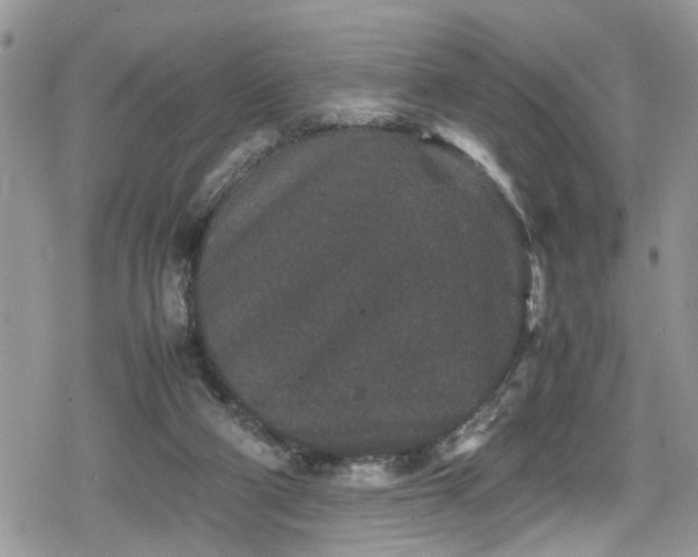 X0000078860114200611271421