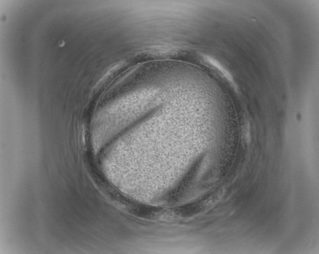 X0000078860115200611271421