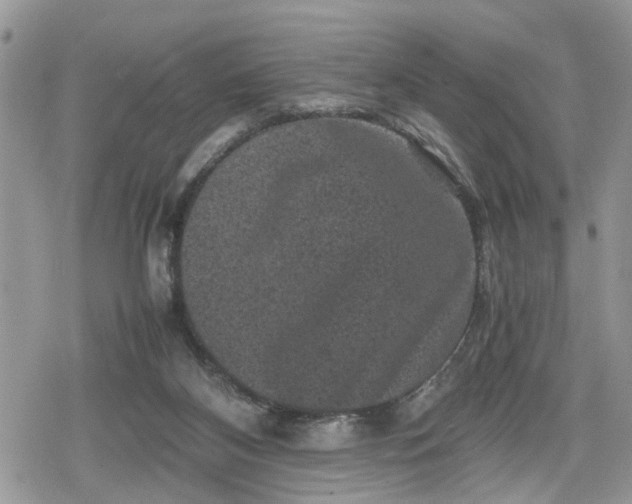 X0000078860116200611271421