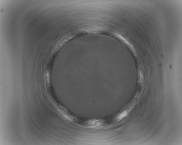 X0000078860117200611271421