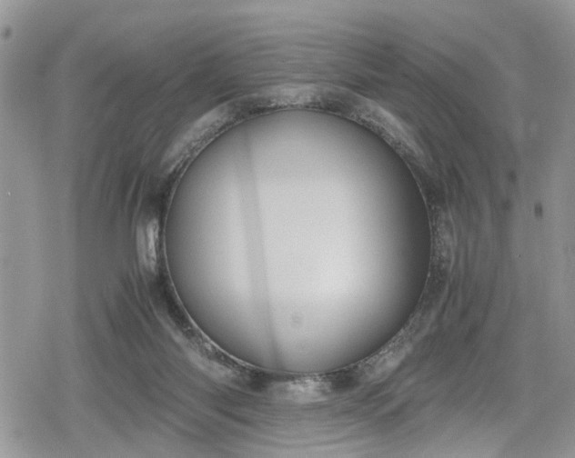 X0000078860118200611271421