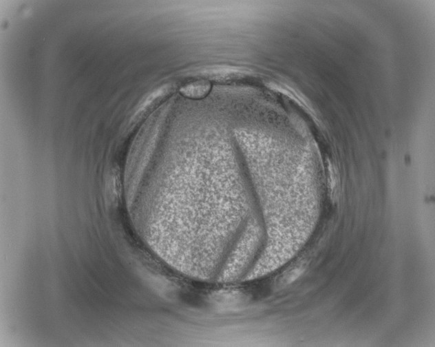 X0000078860119200611271421