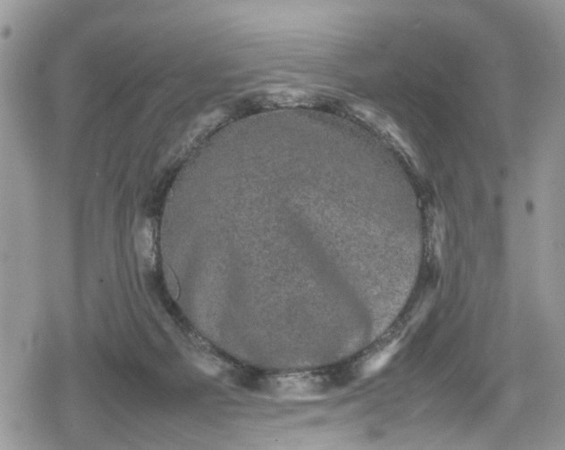 X0000078860121200611271421