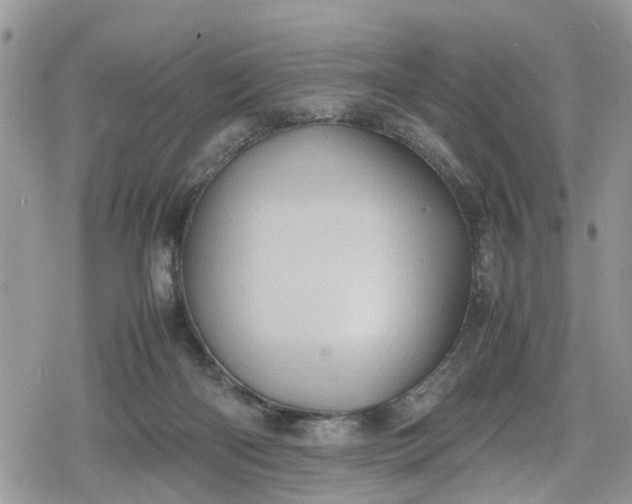 X0000078860122200611271421