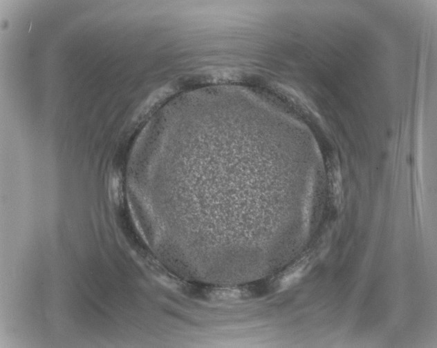 X0000078860123200611271421