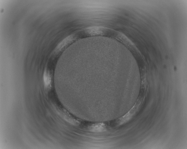 X0000078860124200611271421