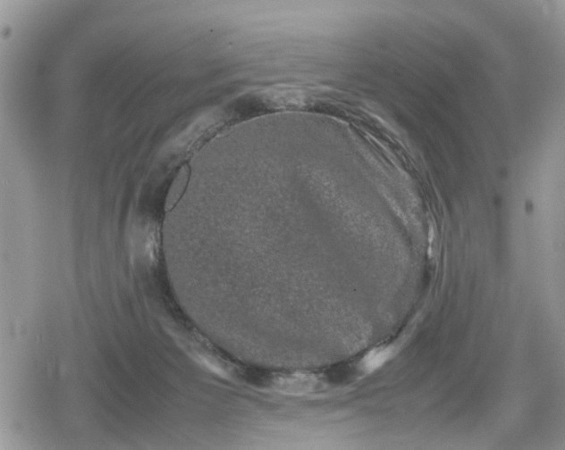 X0000078860125200611271421