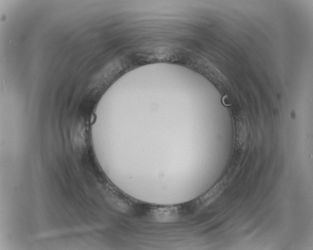 X0000078860126200611271421