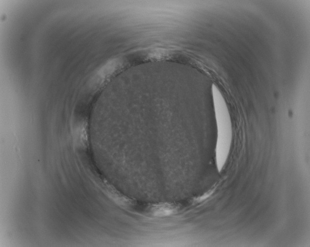 X0000078860127200611271421