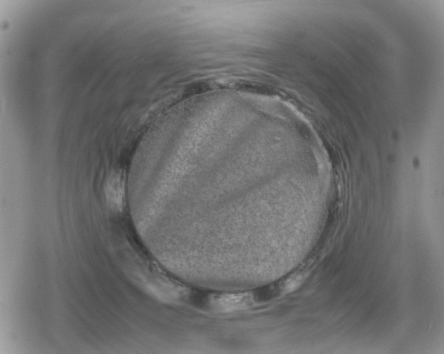 X0000078860129200611271421