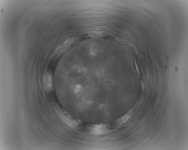 X0000078860130200611271421