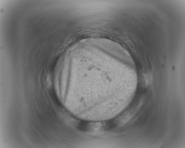 X0000078860131200611271421