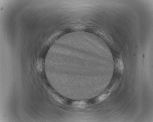 X0000078860133200611271421