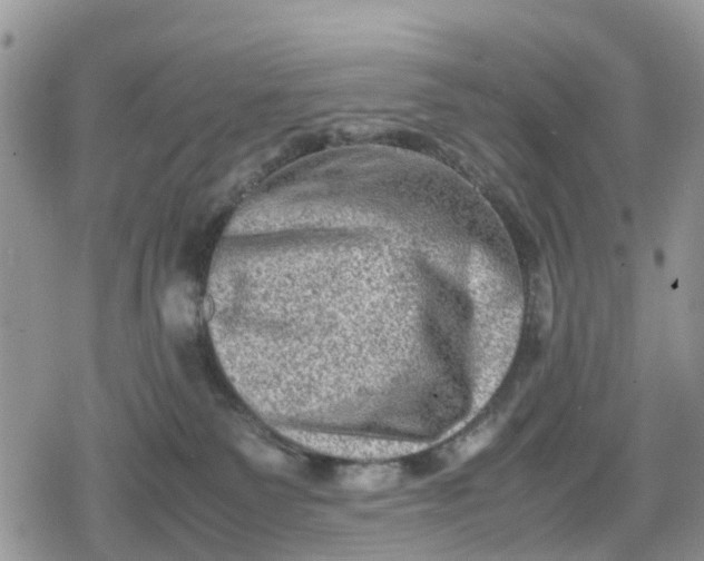 X0000078860135200611271421