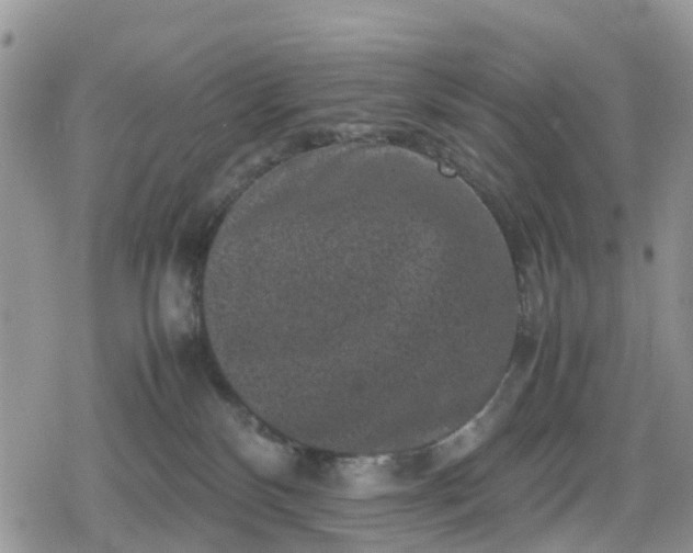 X0000078860136200611271421