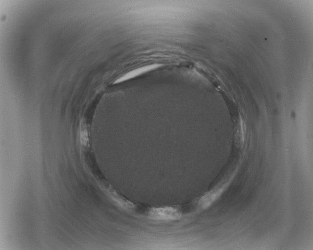 X0000078860137200611271421