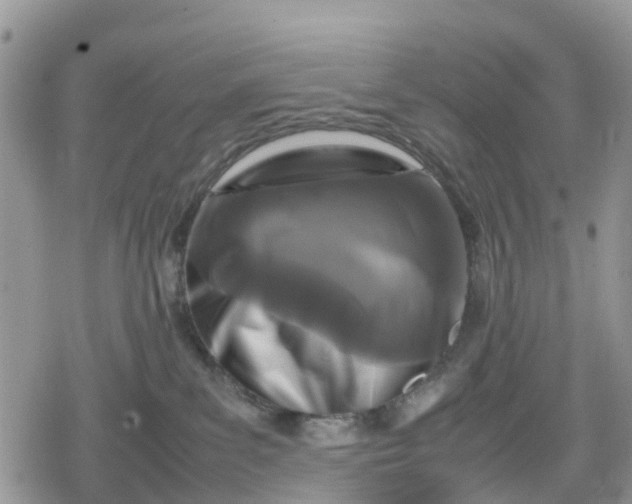 X0000078860139200611271421