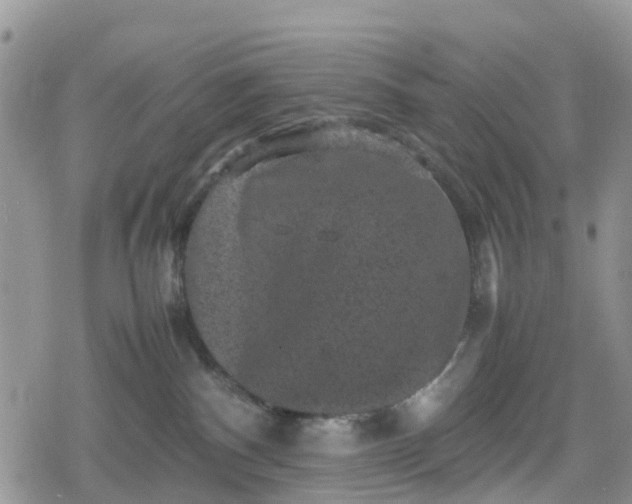 X0000078860140200611271421