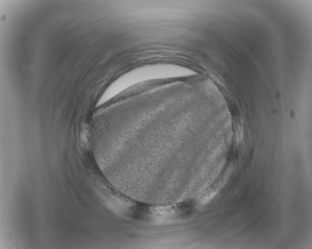 X0000078860141200611271421