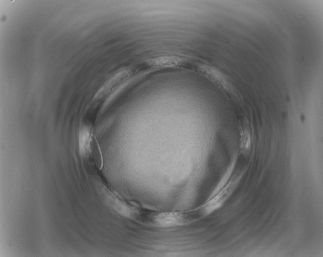 X0000078860142200611271421