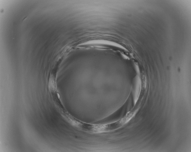 X0000078860143200611271421