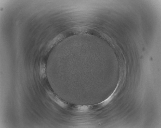 X0000078860144200611271421