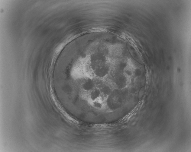 X0000078860145200611271420