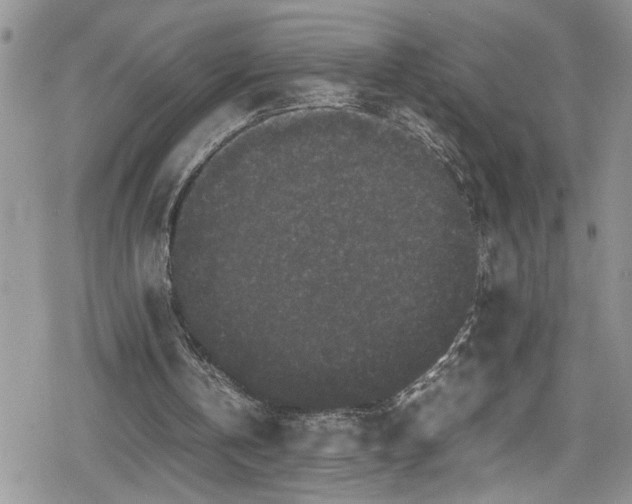 X0000078860146200611271420