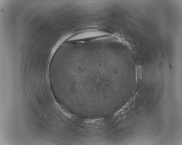 X0000078860147200611271420