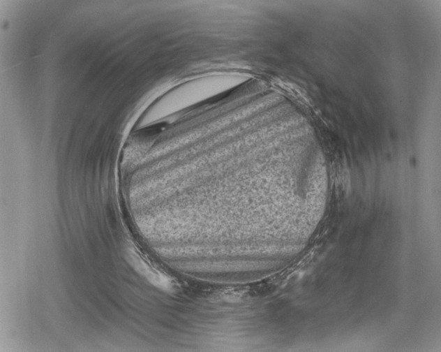 X0000078860148200611271420