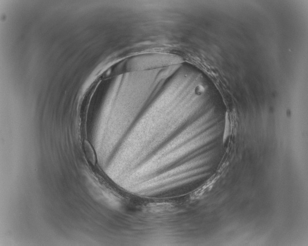 X0000078860150200611271420