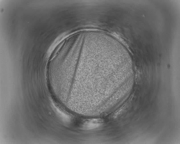 X0000078860151200611271420