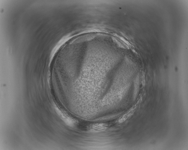 X0000078860152200611271420