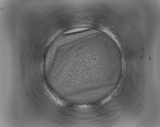 X0000078860153200611271420