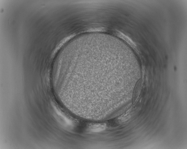 X0000078860155200611271420