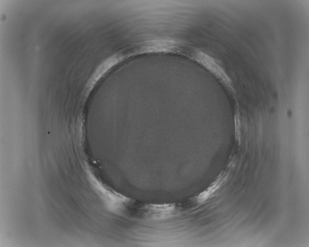 X0000078860156200611271420