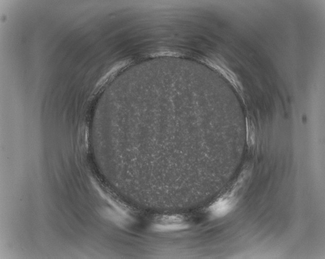 X0000078860157200611271420