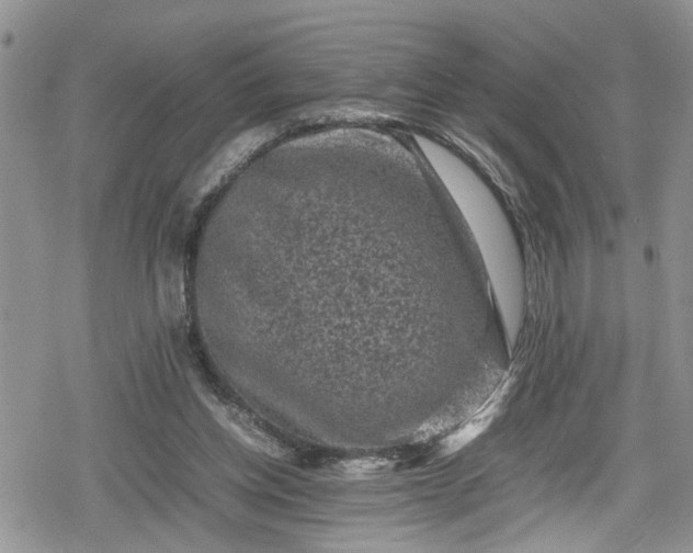 X0000078860158200611271420