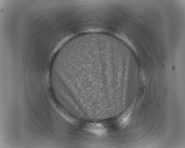 X0000078860159200611271420