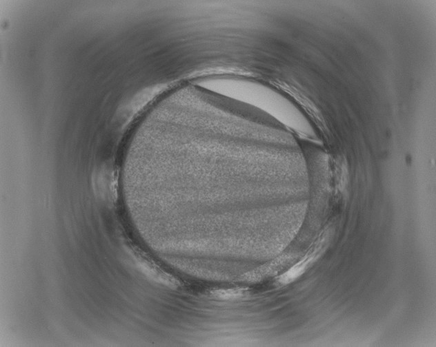 X0000078860160200611271420