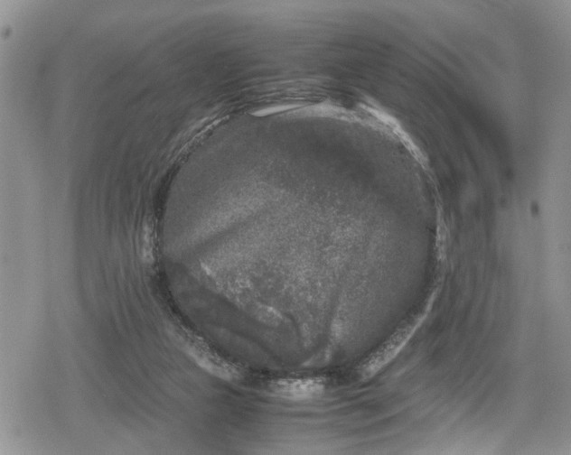 X0000078860161200611271420