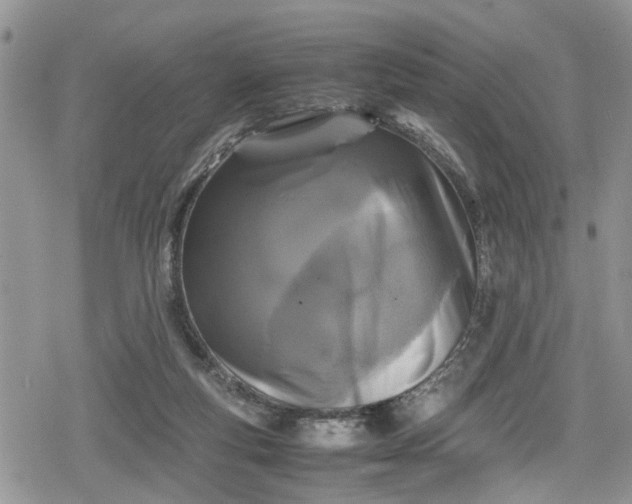 X0000078860163200611271420