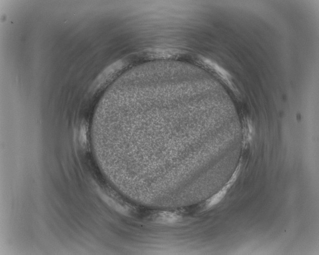 X0000078860166200611271421