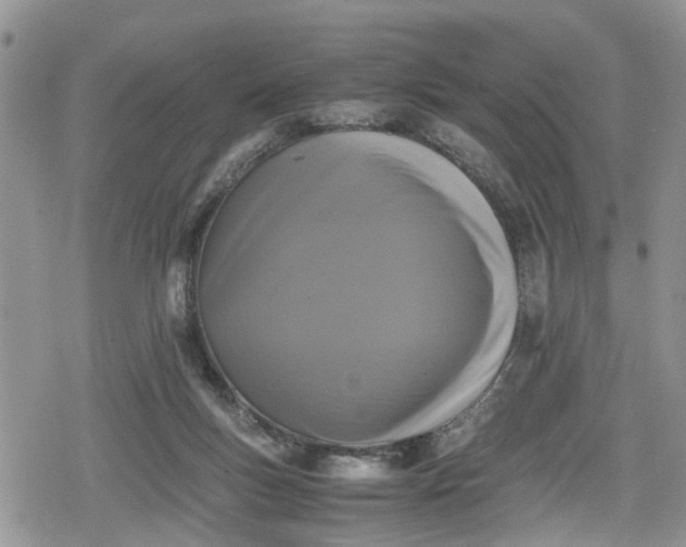 X0000078860167200611271421