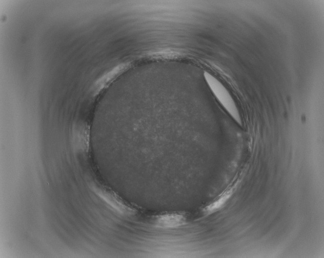 X0000078860168200611271421