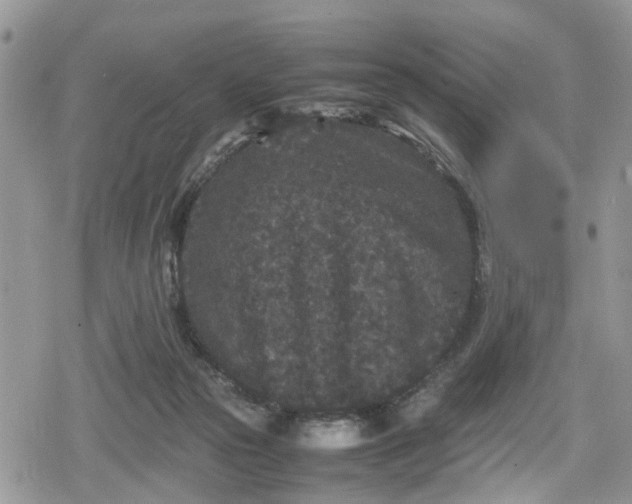 X0000078860169200611271421