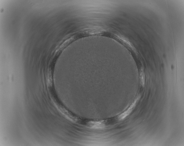 X0000078860170200611271421