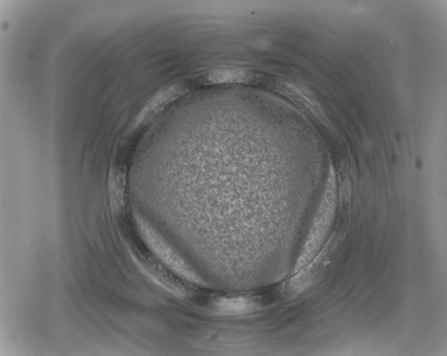 X0000078860171200611271421