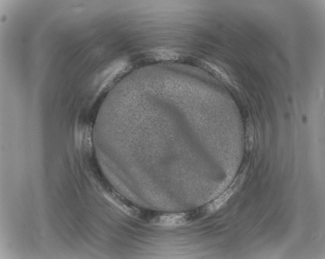 X0000078860172200611271421